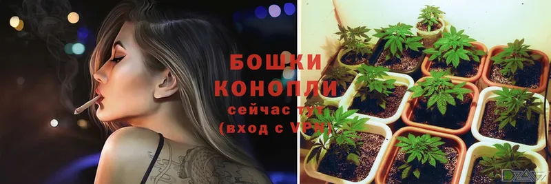 купить   Павлово  Конопля марихуана 